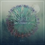 cover: Niukid - Misty Forest Lp