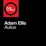 cover: Adam Ellis - Aulus