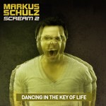 cover: Markus Schulz - Dancing In The Key Of Life