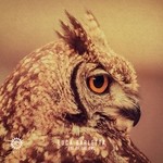 cover: Luca Barletta - Eye Of The Owl