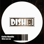 cover: Carlos Mantilla - What You Say