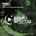 cover: Trizet - Acid Jungle