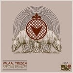 cover: Various - Tres 14 Special (remixes)