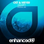 cover: Ost & Meyer - Liquify