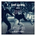 cover: Edviq - Chelsea Fads