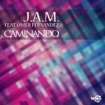 cover: Jam|Omer Fernandez - Caminando