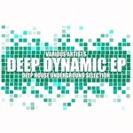 cover: Bros Tods|Deadly Ride|House Bug|Roben Bucks - Deep Dynamic (Deep House Underground Selection)