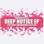 cover: Dalem Osuno|Eyes Boy|Inside Soul|Ripple Gum - Deep Notice (Deep House Underground Selection)