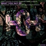 cover: Ammo Avenue|Anasa|Sofia Zlatko|Vijay - What You Say