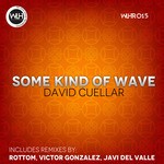 cover: David Cuellar - Some Kind Of Wave (remixes)