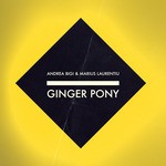 cover: Andrea Bigi|Marius Laurentiu - Ginger Pony