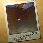 cover: Der Dulz|Goldfish - Polaroid - EP