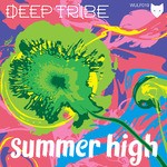 cover: Deep Tribe - Summer High