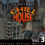 cover: Tedjep Soulful House|Soulfultrance The Real Producers|Soul Ty|Soulful Cafe - 25 Detroit Chillhouse Vol 3