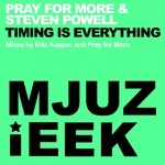 cover: Pray For More|Steven Powell - Timing Is Everything