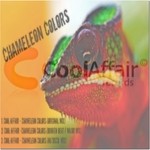 cover: Cool Affair - Chameleon Colors