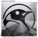 cover: Fabricio Pecanha - What To Do Now