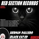 cover: Hernan Pallero - Black Cat