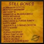 cover: Various - Still Bones Selection