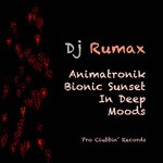 cover: Dj Rumax - Animatronik