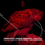 cover: Manuel Fernandez|Moya, Adrian - Protect