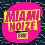 cover: Various - Miami Noize 6 (Explicit)