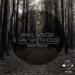 cover: Winter, James|Gav Whitehouse - Cabrini Green EP