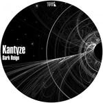 cover: Kantyze - Dark Reign