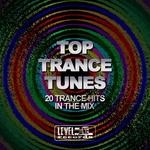 cover: Various - Top Trance Tunes 20 Trance Hits In The Mix