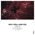 cover: Promise Land - Why I Still Love You