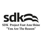 cover: Ann Shine|Sdk Project - You Are The Reason