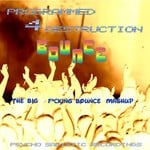 cover: Programmed 4 Destruction - The Big F*cking Bounce Mashup