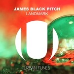 cover: James Black Pitch - Landmark