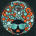 cover: Various - Funkquinox