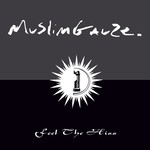 cover: Muslimgauze - Zilver/Feel The Hiss