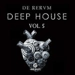 cover: Various - De Rerum Deep House Volume 5