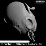 cover: Ende - Different Nature