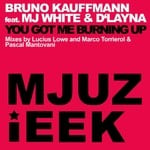 cover: Kauffmann, Bruno|Mj White & D'layna - You Got Me Burning Up