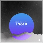 cover: Lee X Matthews - I Got U