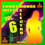 cover: Various - Funky House Meets Electro Vol 6 (Radio Edition)