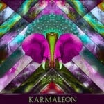 cover: Karmaleon - Give Me A Moment