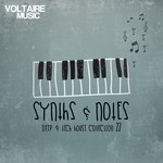 cover: Various - Synths & Notes 22