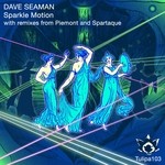 cover: Dave Seaman - Sparkle Motion