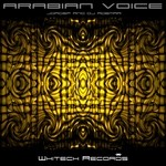 cover: Dj Ademar|Jorgef - Arabian Voice