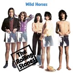 cover: The Rolling Stones - Wild Horses (Acoustic Version)