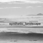 cover: Polynoiz - Synthetic Landscape