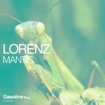 cover: Lorenz Dj - Mantis