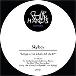 cover: Skyboy - Songs In The Chaos Of Life EP