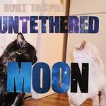 cover: Built To Spill - Untethered Moon