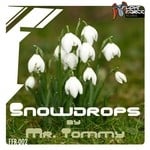 cover: Mr Tommy - Snowdrop EP